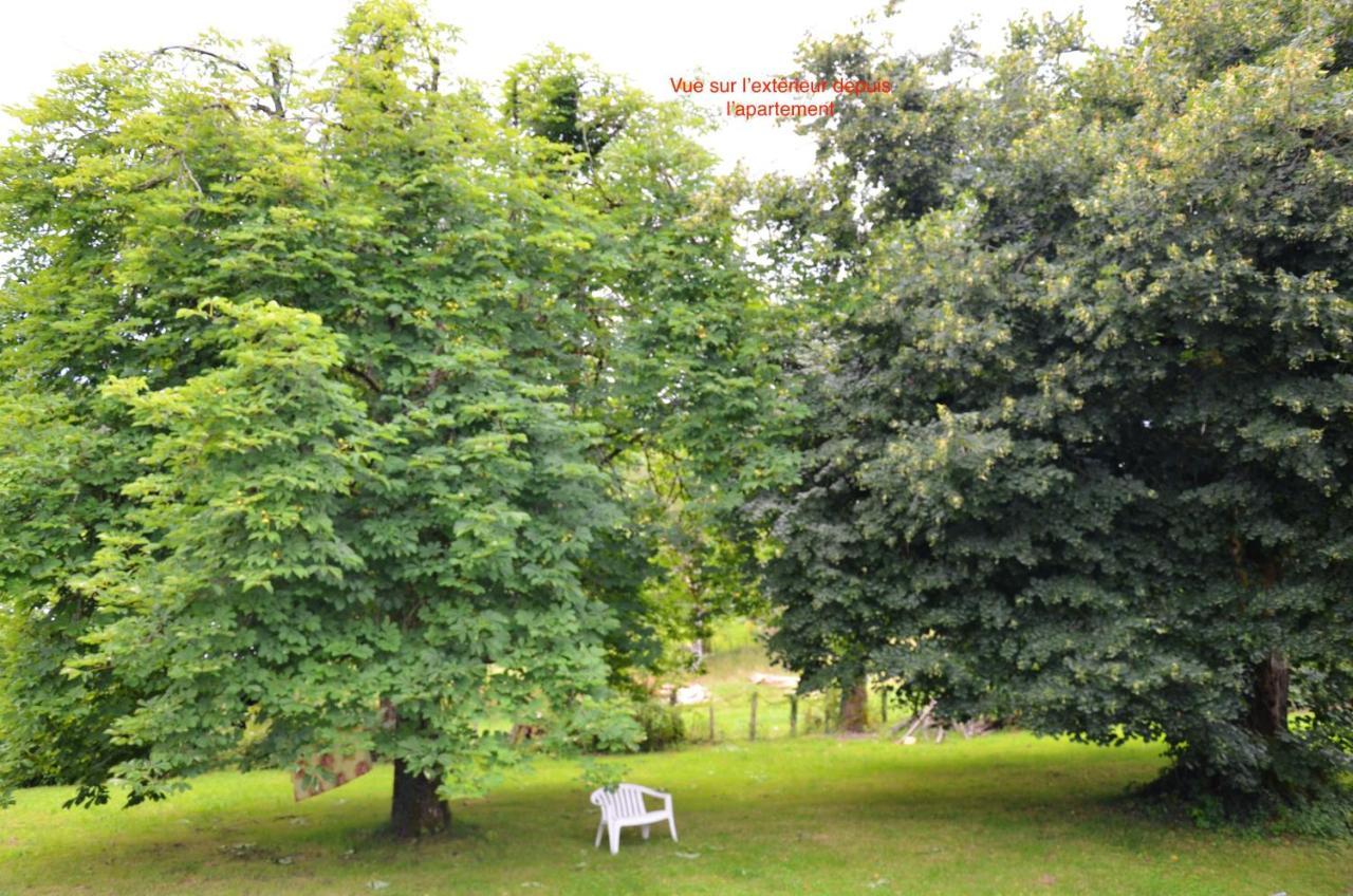 Appartement Charmant Orgnac-Sur-Vezere Avec Jardin Et Parking Exteriér fotografie
