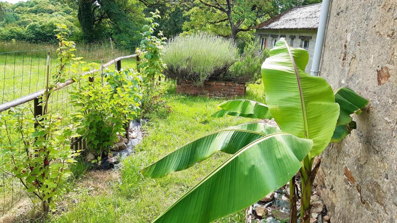 Appartement Charmant Orgnac-Sur-Vezere Avec Jardin Et Parking Exteriér fotografie
