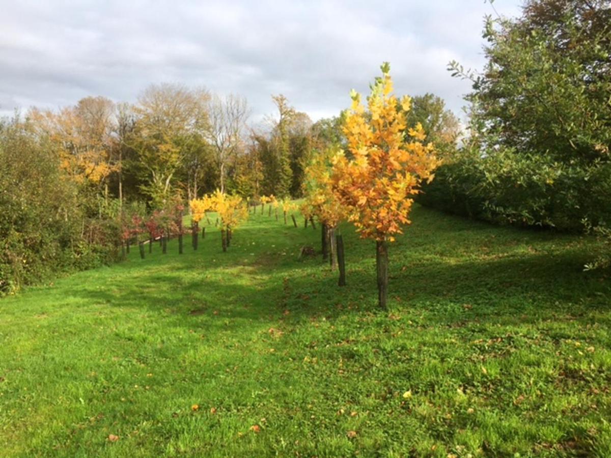 Appartement Charmant Orgnac-Sur-Vezere Avec Jardin Et Parking Exteriér fotografie